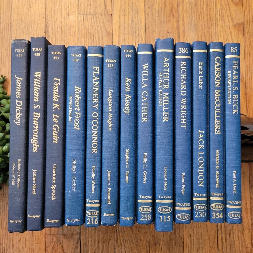 13 Book Set Blue Twaynes United States Authors Series Hardcover Vintage Decor